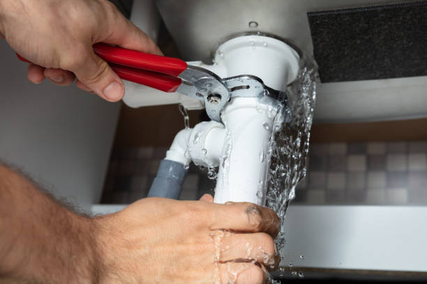 Best Flooded house restoration  in Crowley, LA