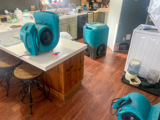 Reliable LA Water damage restoration Solutions