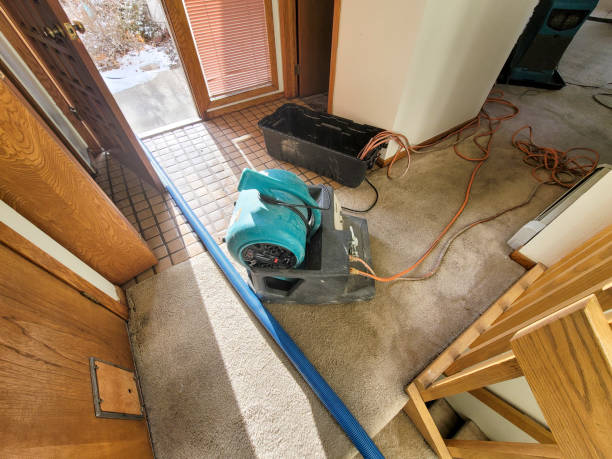 Local water damage restoration in LA