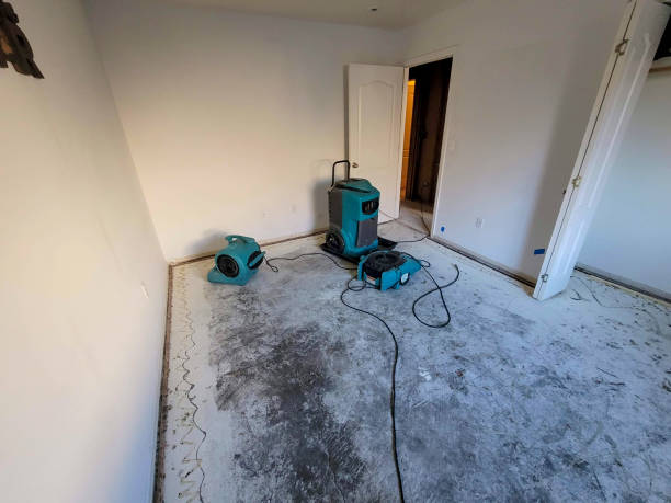 Best Water damage contractors near me  in Crowley, LA