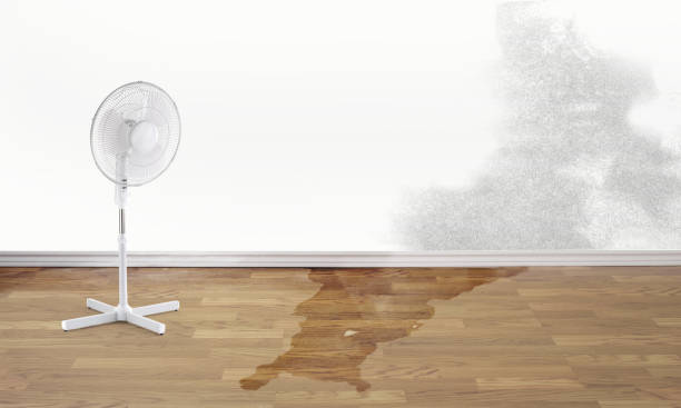 Best Local water damage restoration  in Crowley, LA